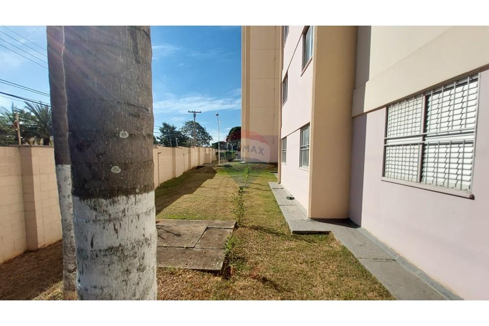 Apartamento - Venda - Campinas , São Paulo - 20250529_145401.jpg - 690181001-432