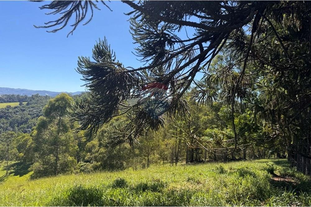 Chácara / Sítio / Fazenda - Venda - Joanópolis , São Paulo - photo_5019612001088941350_y.jpg - 690041001-120