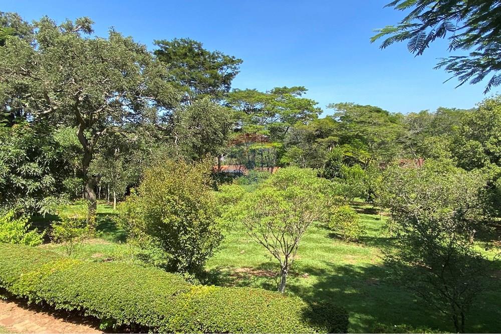 Chácara / Sítio / Fazenda - Venda - Jarinu , São Paulo - Z35.JPEG - 691121003-48