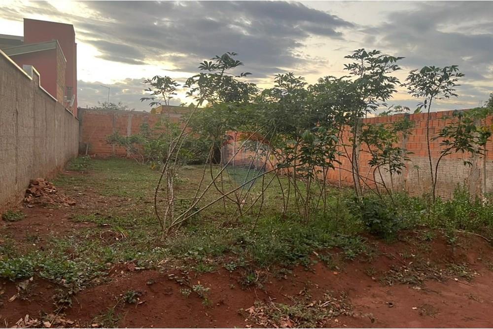 Terreno - Venda - Araraquara , São Paulo - WhatsApp Image 2025-11-04 at 15.44.22 (1).jpeg - 690151080-9