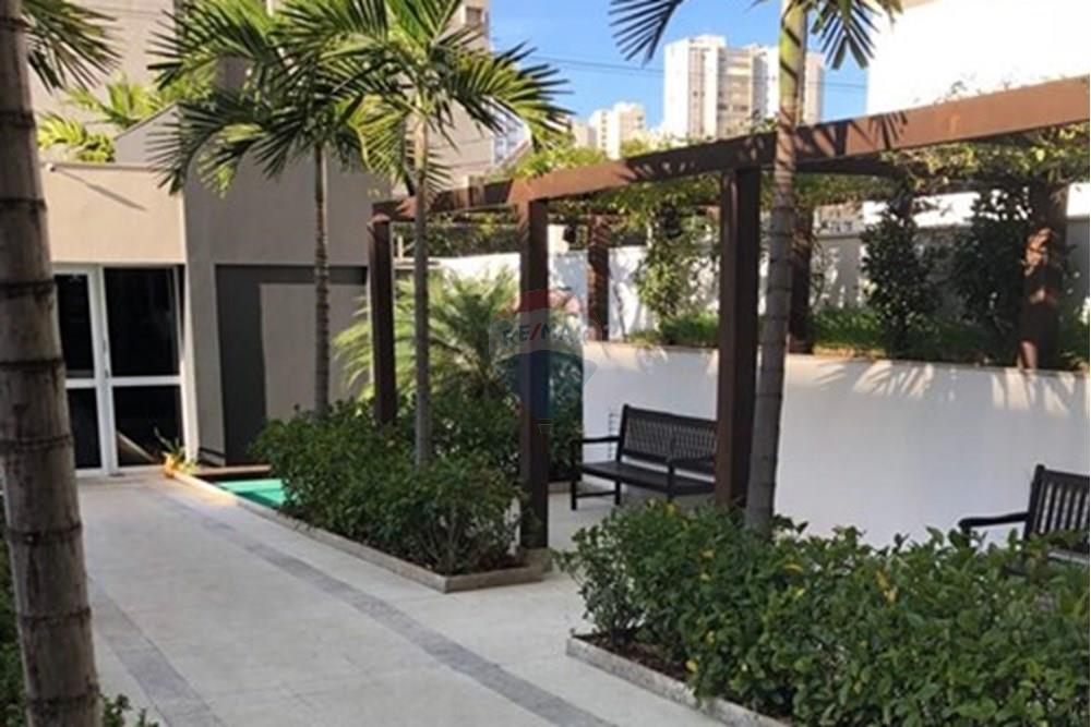 Apartamento - Alugar - Campinas , São Paulo - WhatsApp Image 2026-01-02 at 16.11.14 (2).jpeg - 690681167-87