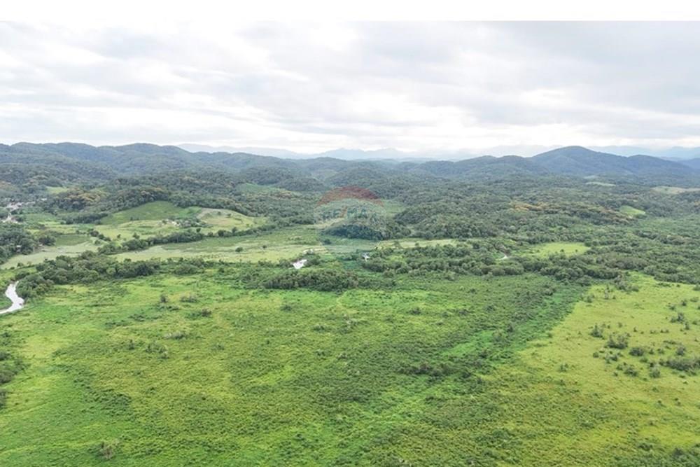 Fazenda - Venda - Sete Barras , São Paulo - 12.jpeg - 690061037-11