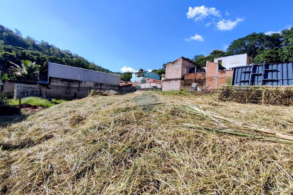 Terreno - Venda - Pedreira , São Paulo - 6.jpg - 690671008-364