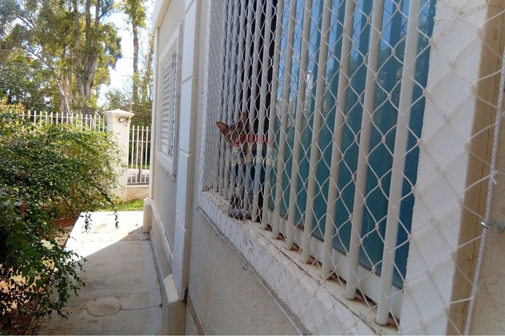 Kitnet - Alugar - Campinas , São Paulo - WhatsApp Image 2026-01-14 at 17.57.06.jpeg - 690331002-268