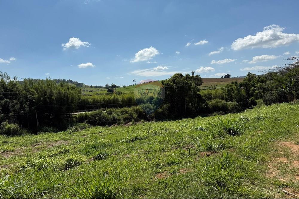 Terreno - Venda - Tuiuti , São Paulo - lote t 16.jpeg - 690041137-57