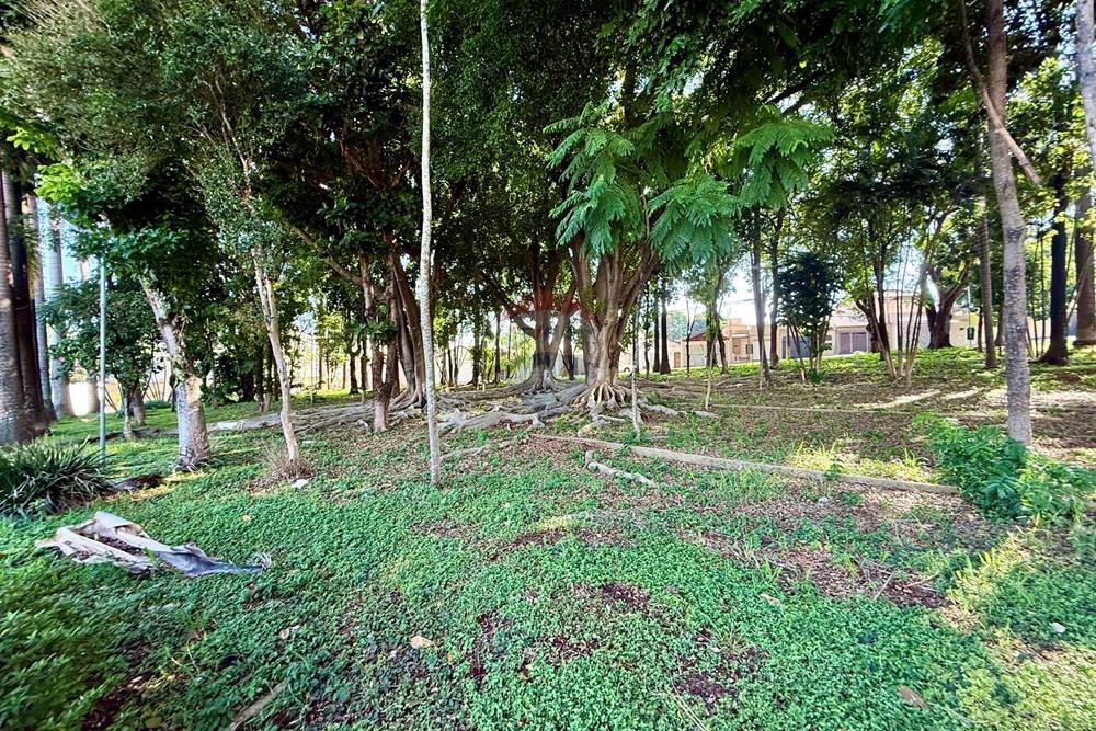 Terreno - Venda - Piracicaba , São Paulo - IMG_9364.JPG - 690781011-550