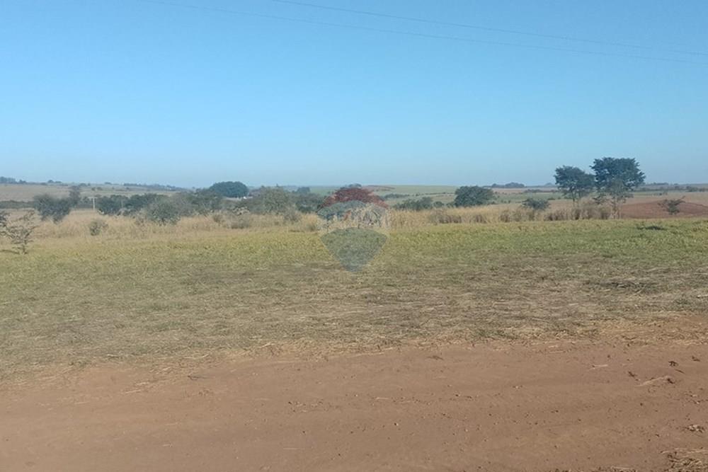 Terreno - Venda - Ipeúna , São Paulo - WhatsApp Image 2025-07-30 at 15.59.28.jpeg - 690811006-137