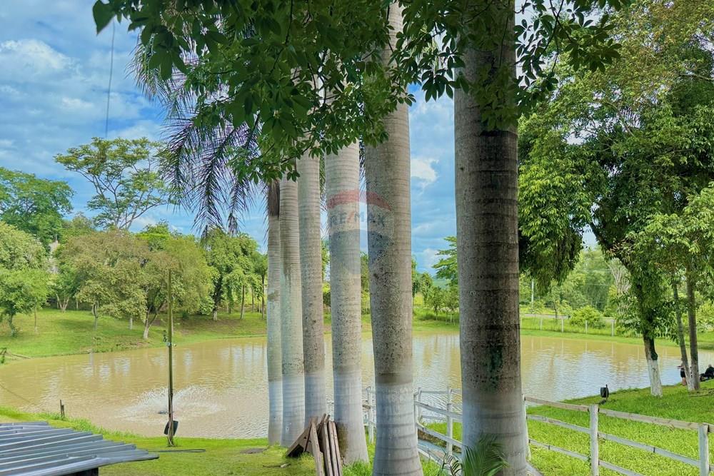 Terreno - Venda - Piracicaba , São Paulo - IMG_1768.JPG - 690781102-69