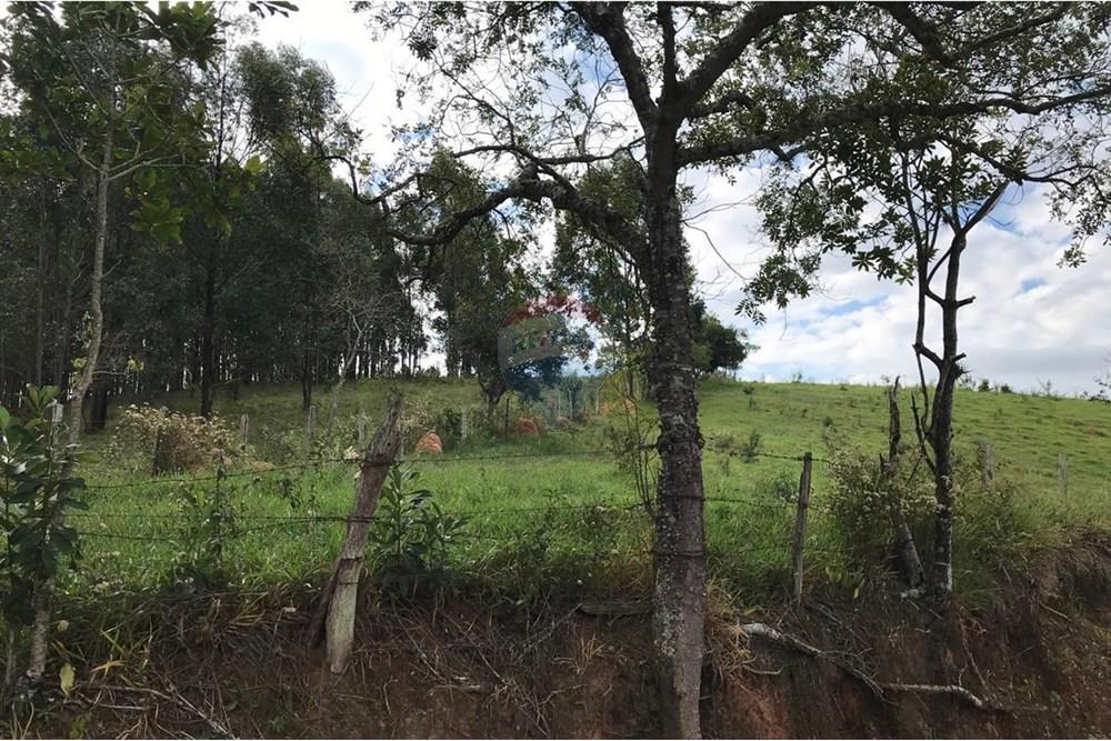 Chácara / Sítio / Fazenda - Venda - Socorro , São Paulo - IMG-20250520-WA0036.jpg - 690291056-39