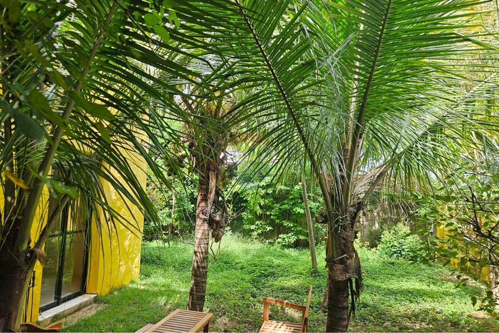 Casa de Condomínio - Alugar - Vinhedo , São Paulo - WhatsApp Image 2026-01-13 at 17.19.10 (2).jpeg - 690681046-164