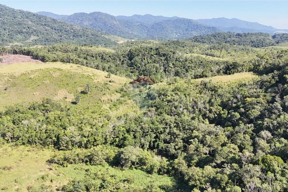 Fazenda - Venda - Miracatu , São Paulo - WhatsApp Image 2025-05-20 at 13.34.12.jpeg - 690061038-9