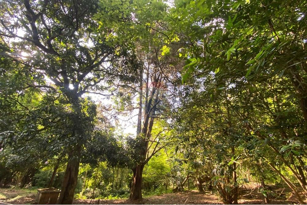 Terreno - Venda - Valinhos , São Paulo - WhatsApp Image 2025-11-29 at 18.49.40 (2).jpeg - 691181010-13