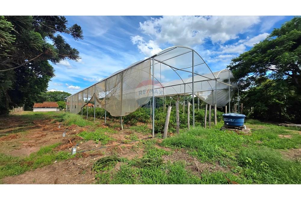 Chácara / Sítio / Fazenda - Venda - Mogi Mirim , São Paulo - 20251211_144636.jpg - 690751019-444