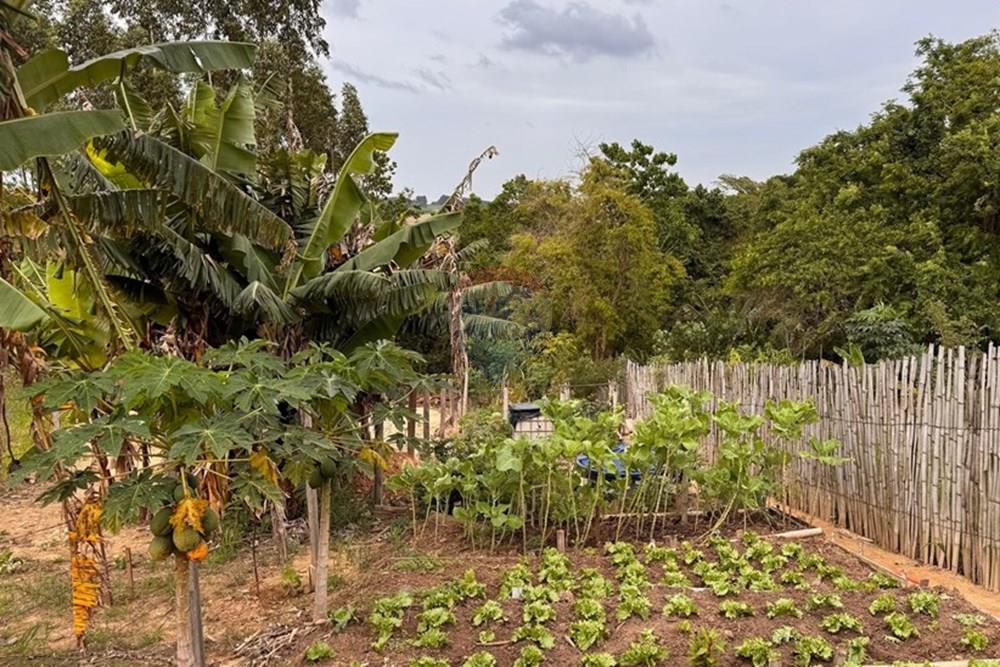 Chácara / Sítio / Fazenda - Venda - Mombuca , São Paulo - WhatsApp Image 2025-11-19 at 21.00.35.jpeg - 690091006-559