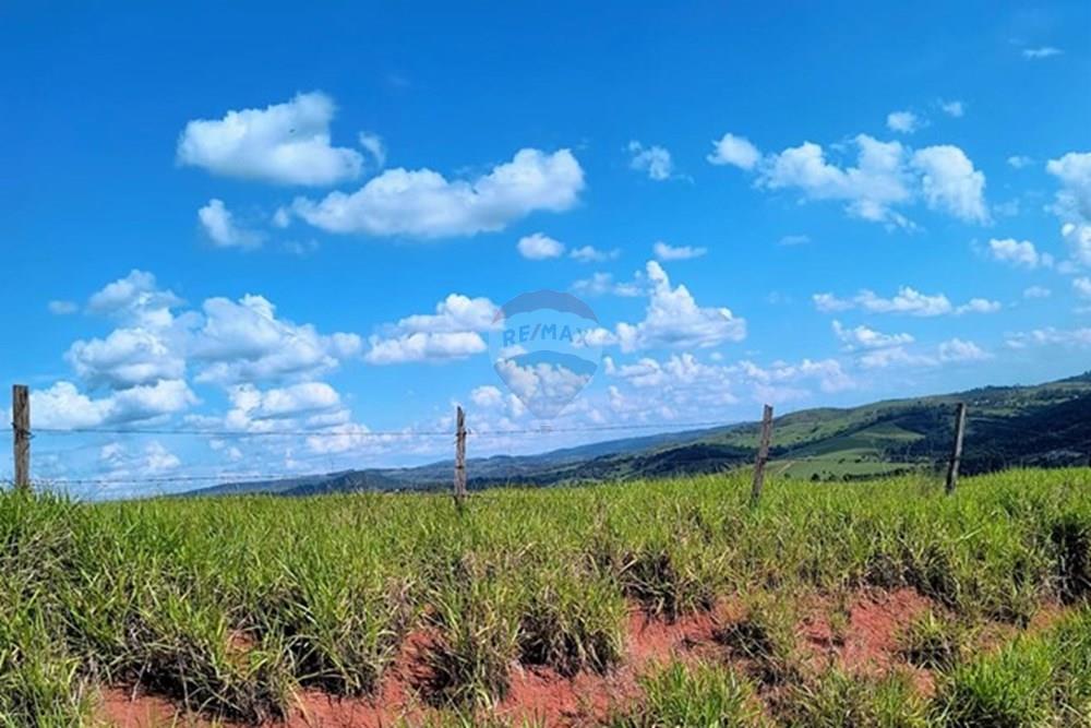 Gyvenamasis - Žemės sklypas - Pedreira , San Paulas - BR - WhatsApp Image 2025-01-15 at 16.18.06 (1).jpeg - 690671004-331