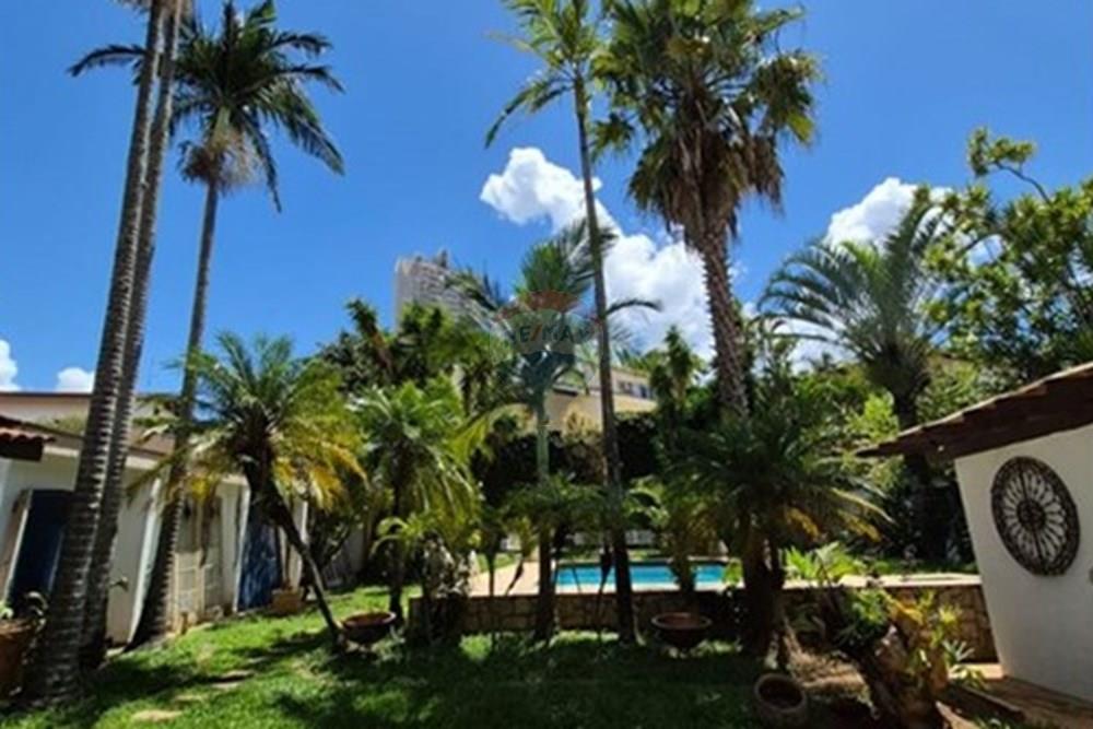 Casa Comercial - Alugar - Campinas , São Paulo - WhatsApp Image 2026-01-12 at 09.15.12 (1).jpeg - 690681197-3