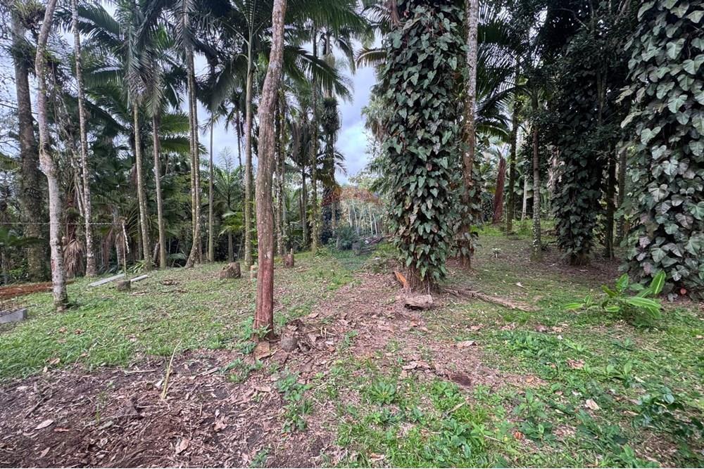 Terreno - Venda - Peruíbe , São Paulo - IMG-20251017-WA0100.jpg - 691111009-62