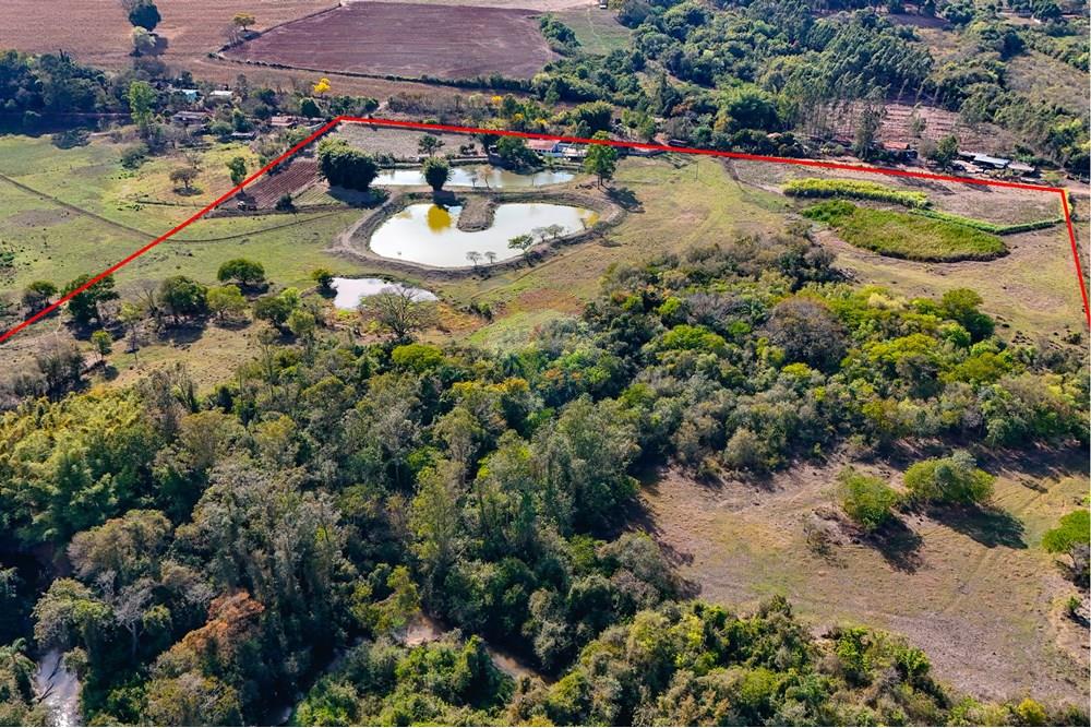 Chácara / Sítio / Fazenda - Venda - Santa Cruz da Conceição , São Paulo - Tratada-10.jpg - 690481001-177