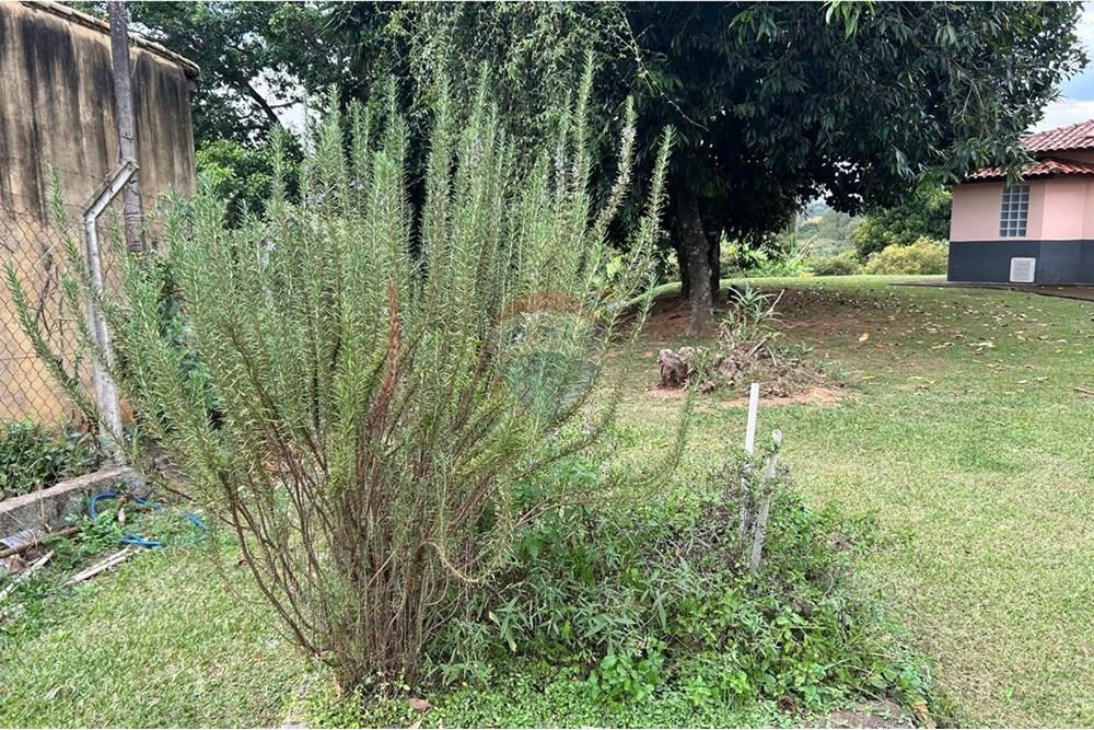 Chácara / Sítio / Fazenda - Venda - Itupeva , São Paulo - WhatsApp Image 2025-05-19 at 14.19.24 (18) (1).jpeg - Jardim Externo - 690801050-13