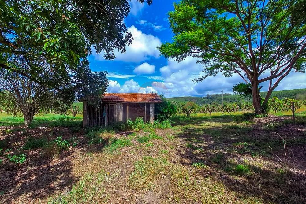 Fazenda - Venda - Analândia , São Paulo - Tratada-5.jpg - 690691016-305