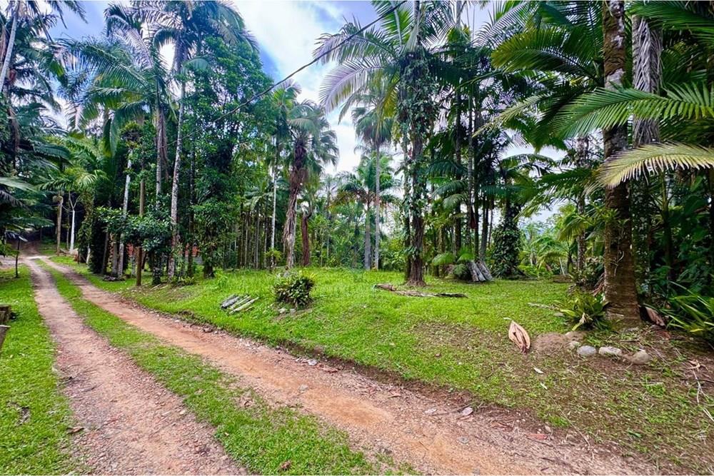 Terreno - Venda - Peruíbe , São Paulo - WhatsApp Image 2026-01-15 at 14.40.39.jpeg - 691111009-61