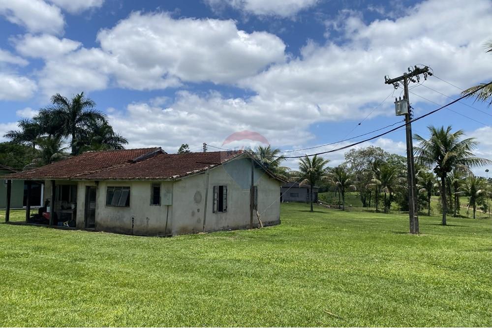 Fazenda - Venda - Iguape , São Paulo - IMG_5980.jpg - 690061038-14