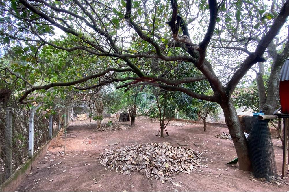 Casa - Alugar - Rio Claro , São Paulo - WhatsApp Image 2025-02-11 at 11.43.00.jpeg - Quintal - 690811038-38