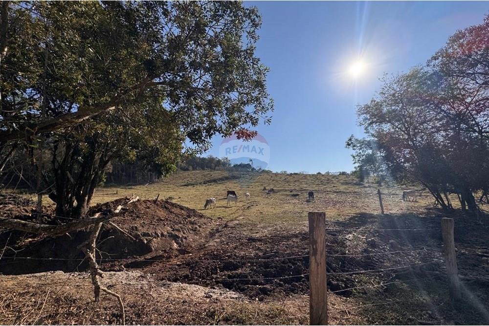 Terreno - Venda - Tuiuti , São Paulo - WhatsApp Image 2025-10-06 at 14.47.27 (3).jpeg - 690041052-114