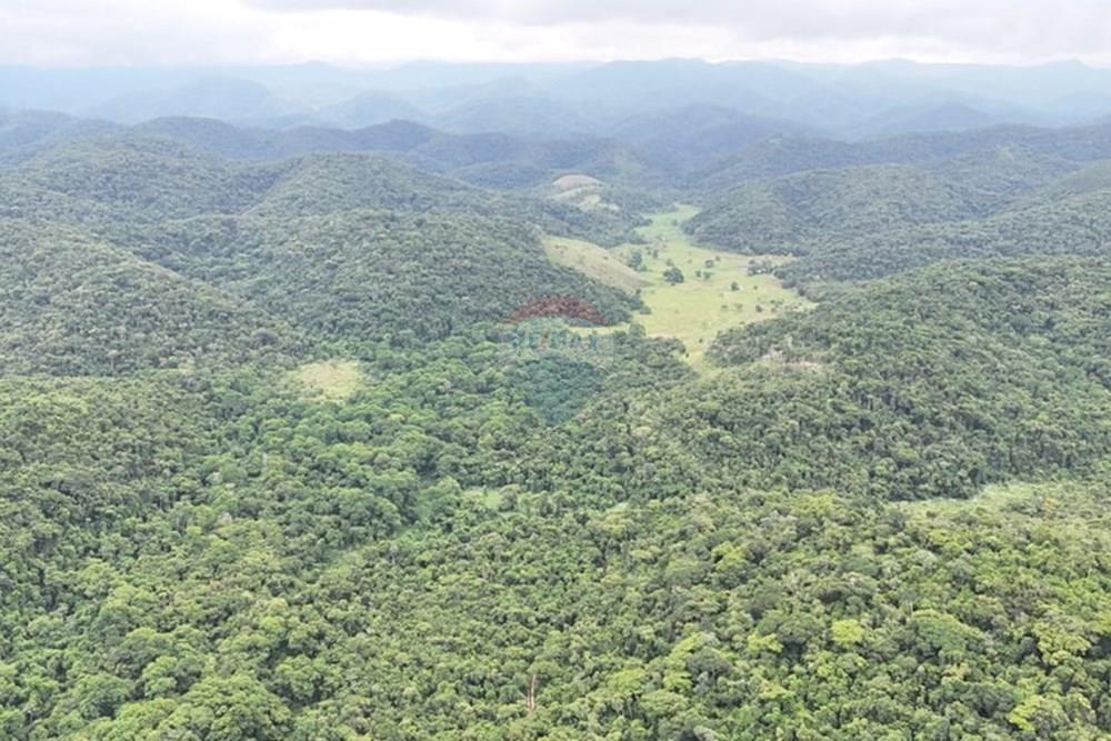 Fazenda - Venda - Miracatu , São Paulo - 80926e90-d493-48ee-ba9f-6998061a50be.jpg - 690061038-2