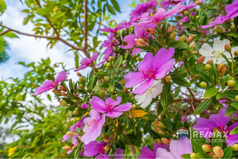 Chácara / Sítio / Fazenda - Venda - Vinhedo , São Paulo - EDI05510EDIVO FURTADO - RG98002306922SSPCE - 690541093-139 - REMAX REDE PRO_.jpg - 690541093-139