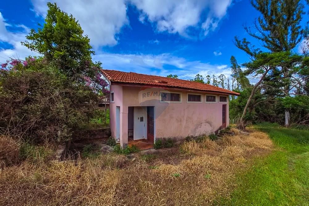 Fazenda - Venda - Analândia , São Paulo - Tratada-15.jpg - 690691016-305