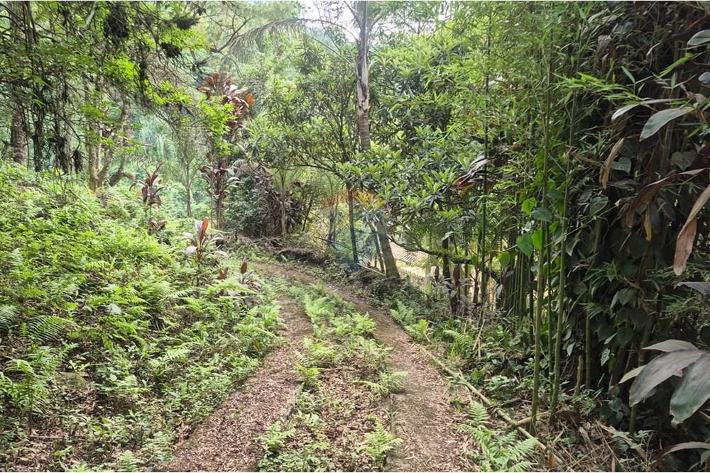 Chácara / Sítio / Fazenda - Venda - Atibaia , São Paulo - FotoH.jpeg - 690791148-26