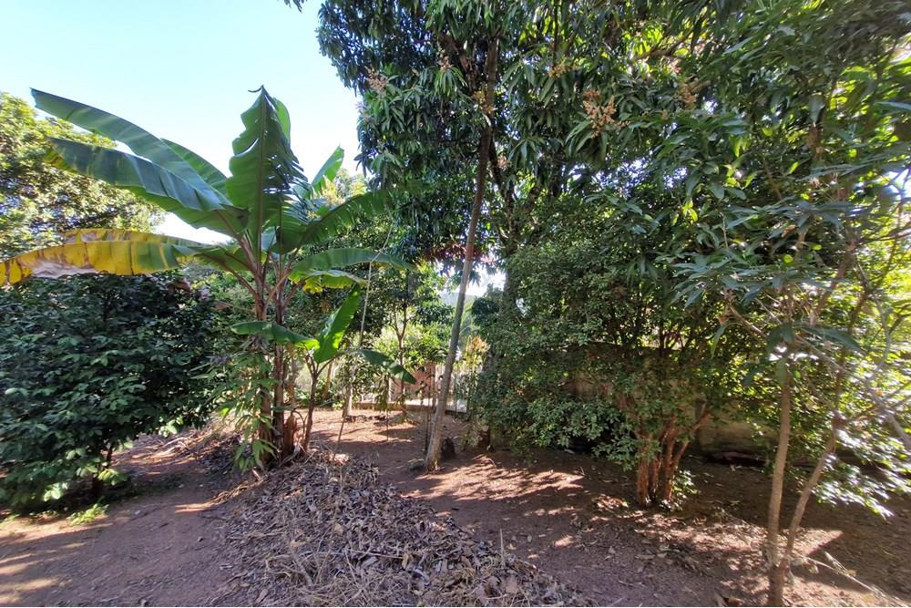 Residential - Land - Jaguariúna , Sao Paulo - BR - 20250814_151832.jpg - 690671008-326