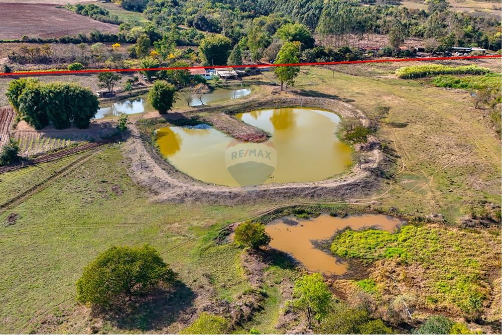 Chácara / Sítio / Fazenda - Venda - Santa Cruz da Conceição , São Paulo - Tratada-22.jpg - 690481001-177