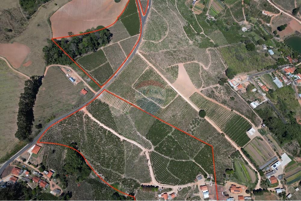 Agro - Venda - Serra Negra , São Paulo - DJI_0643.JPG - 690291056-50