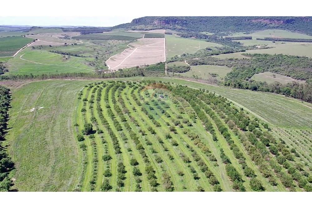 Fazenda - Venda - Analândia , São Paulo - 4043d3c8-e3b3-4621-a254-56d35c3c1407.jpg - 690691016-305