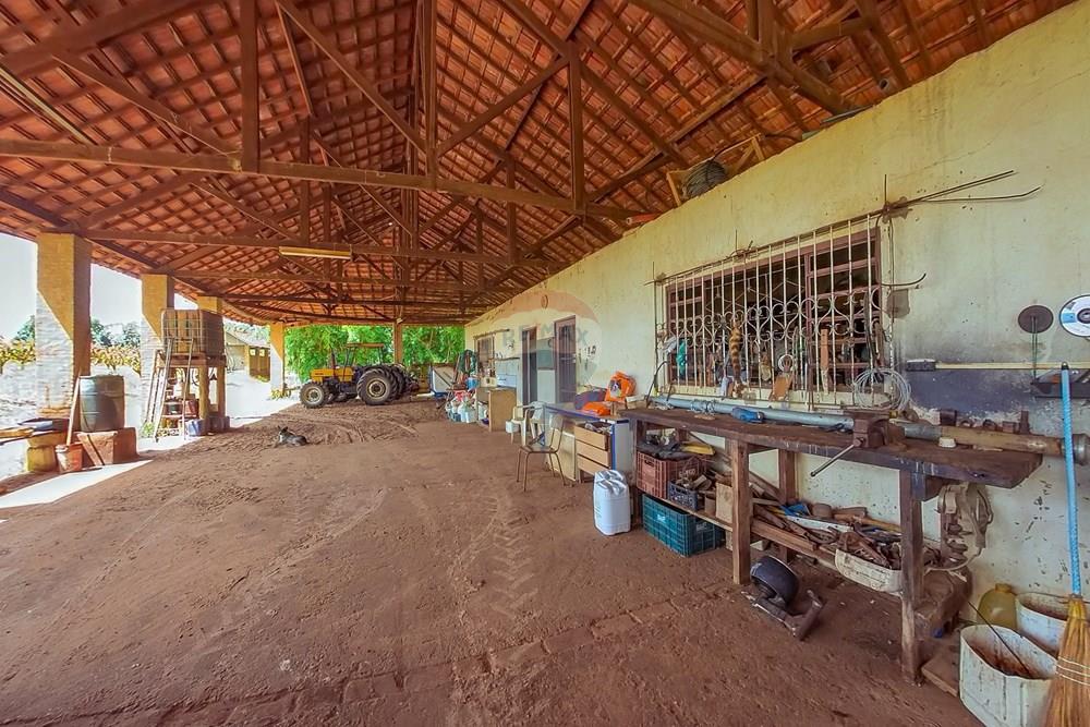 Fazenda - Venda - Analândia , São Paulo - Tratada-28.jpg - 690691016-305