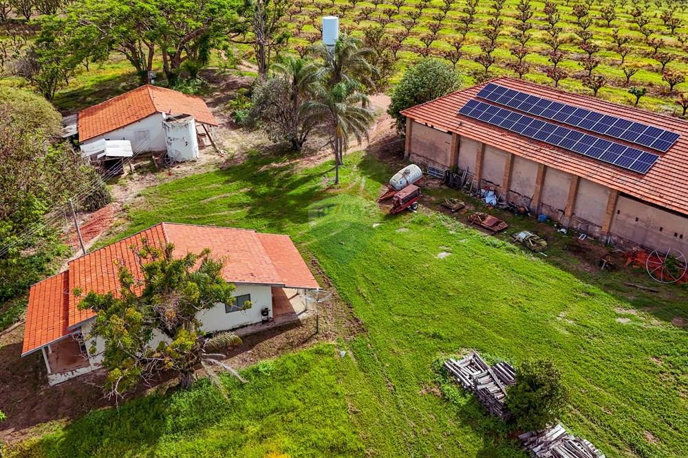 Fazenda - Venda - Analândia , São Paulo - Tratada - Drone-56.jpg - 690691016-305