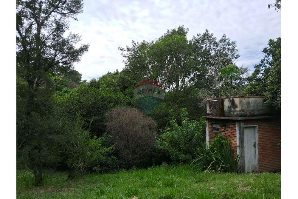 Chácara / Sítio / Fazenda - Venda - Valinhos , São Paulo - foto 19.jpg - 690851076-164