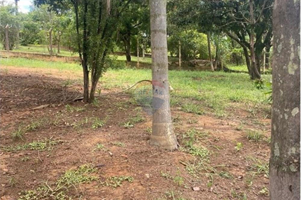 Chácara / Sítio / Fazenda - Alugar - Cosmópolis , São Paulo - 07.jpeg - 690511358-117