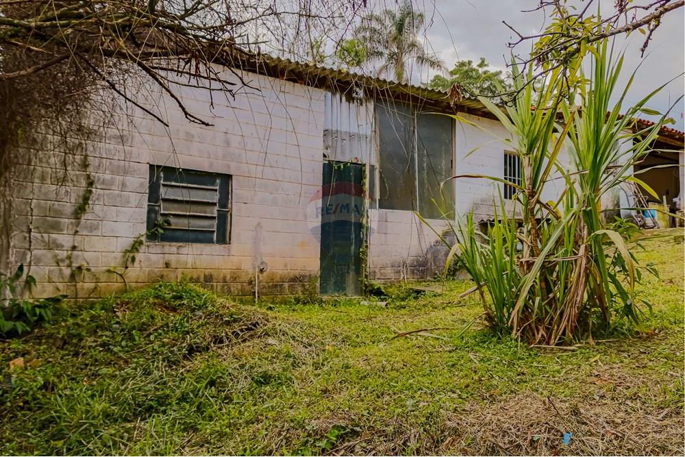 Chácara / Sítio / Fazenda - Venda - Mairiporã , São Paulo - RINF-18.jpg - 690921096-9