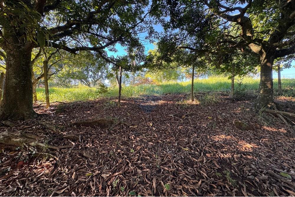 Terreno - Venda - Bragança Paulista , São Paulo - H - Foto Terreno Portal Barragem Jacareí 21.jpg - 690041052-92