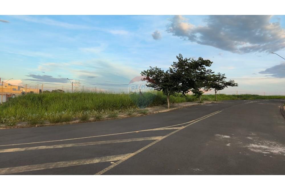 Terreno - Venda - Santa Bárbara d'Oeste , São Paulo - WhatsApp Image 2025-12-25 at 18.34.52.jpeg - 690511333-6