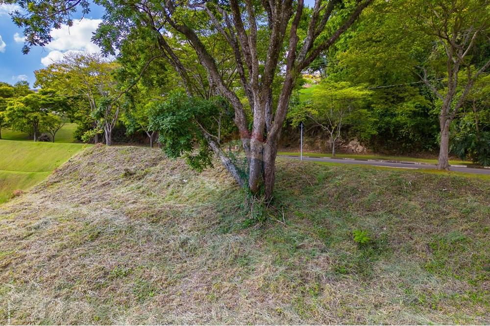 Terreno - Venda - Louveira , São Paulo - TKD-4445.jpg - 690491084-61