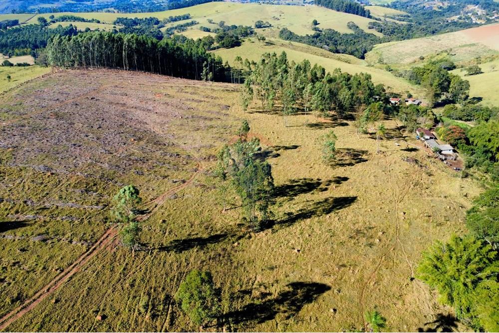Chácara / Sítio / Fazenda - Venda - Socorro , São Paulo - dji_fly_20250617_095140_219_1750164710053_photo_optimized.jpg - 690291056-39