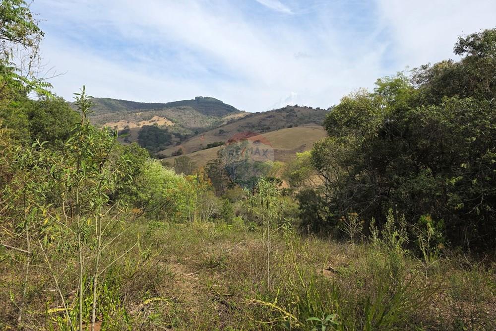 Terreno - Venda - Camanducaia , Minas Gerais - 20250919_144338.jpg - 690041041-51