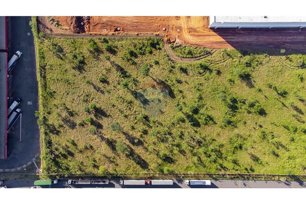 Terreno - Venda - Paulínia , São Paulo - IMG_9970.JPG - 691181018-37