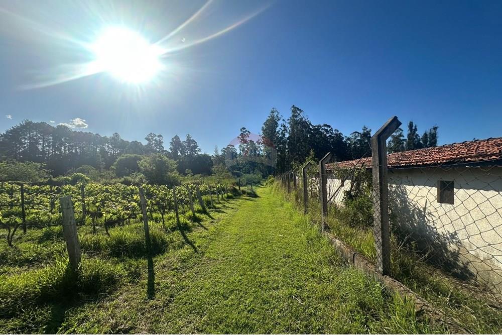 Chácara / Sítio / Fazenda - Venda - Jundiaí , São Paulo - WhatsApp Image 2025-10-23 at 13.29.01 (3).jpeg - 690801041-183