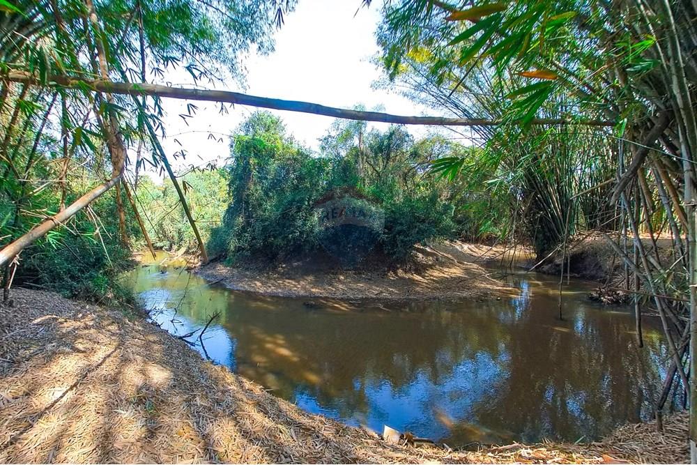 Chácara / Sítio / Fazenda - Venda - Santa Cruz da Conceição , São Paulo - Tratada-32.jpg - 690481001-177