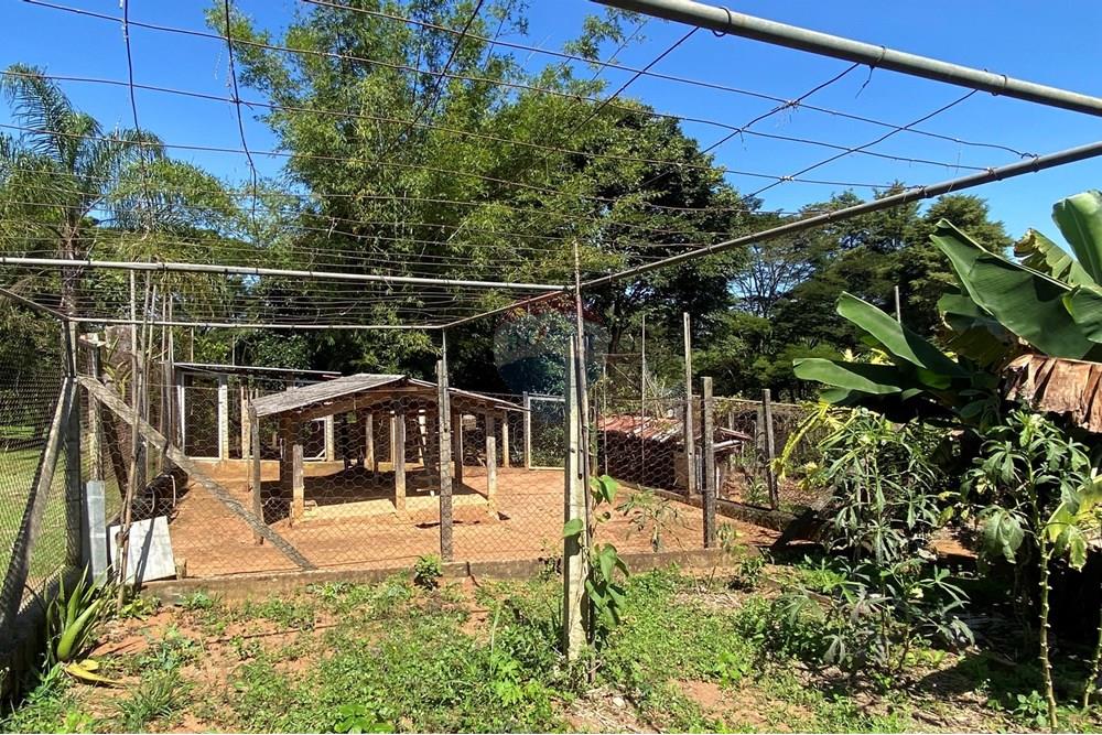 Chácara / Sítio / Fazenda - Venda - Jarinu , São Paulo - Z24.JPEG - 691121002-22